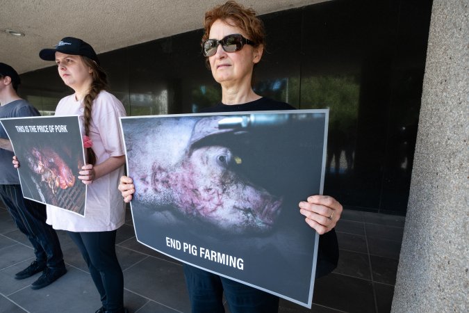Animal rights activists attending the Rally For Pigs 2025