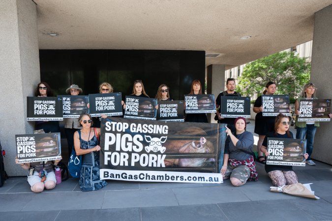 Animal rights activists attending the Rally For Pigs 2025
