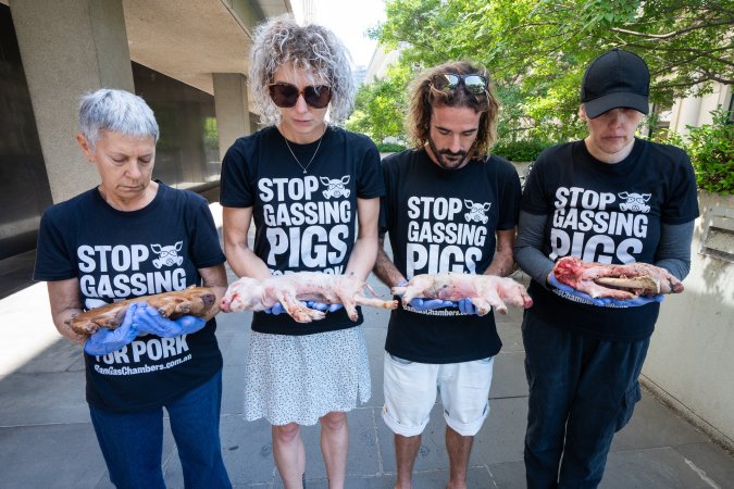 Animal rights activists attending the Rally For Pigs 2025
