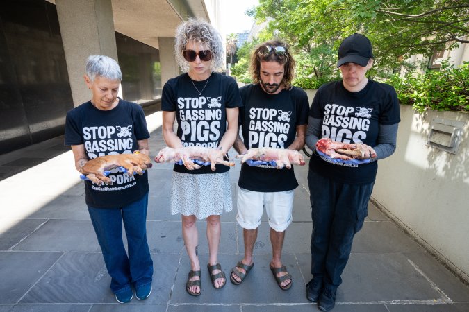 Animal rights activists attending the Rally For Pigs 2025