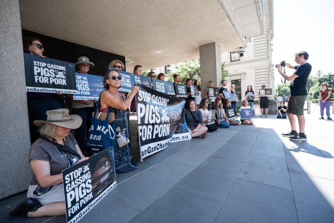 Animal rights activists attending the Rally For Pigs 2025