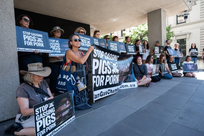 Animal rights activists attending the Rally For Pigs 2025