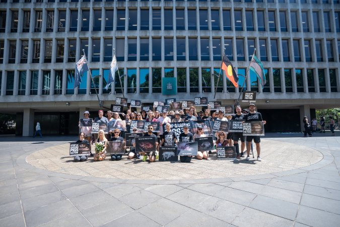 Animal rights activists attending the Rally For Pigs 2025