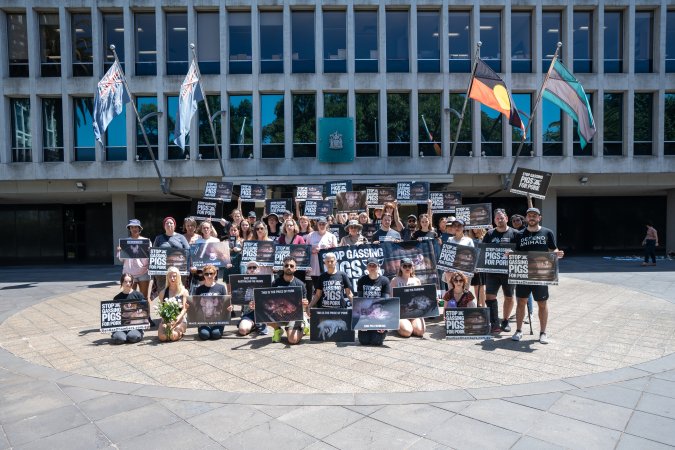 Animal rights activists attending the Rally For Pigs 2025