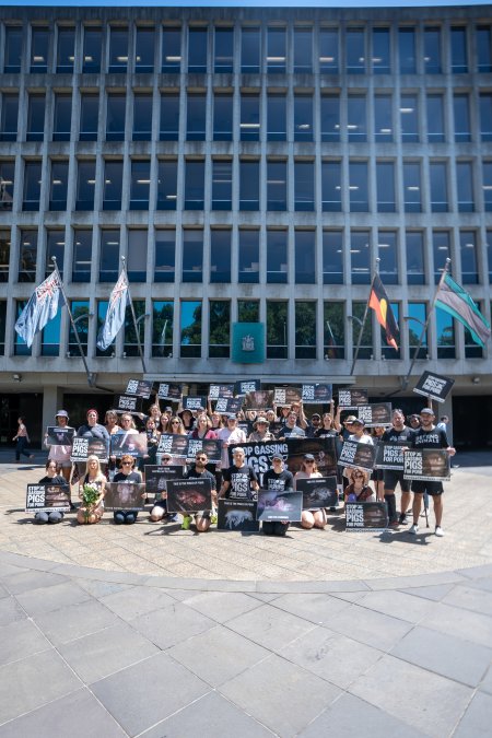 Animal rights activists attending the Rally For Pigs 2025