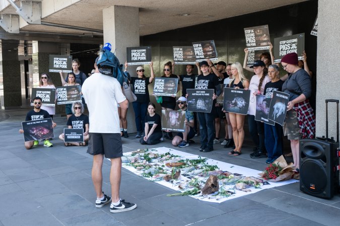 Animal rights activists attending the Rally For Pigs 2025