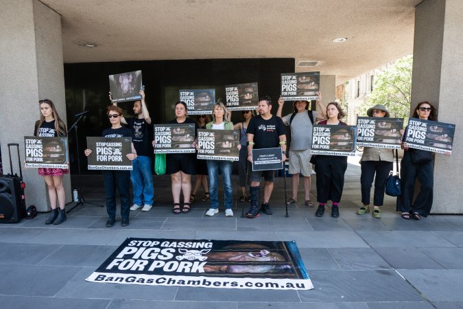 Animal rights activists attending the Rally For Pigs 2025