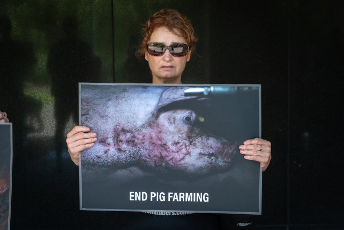 Animal rights activists attending the Rally For Pigs 2025