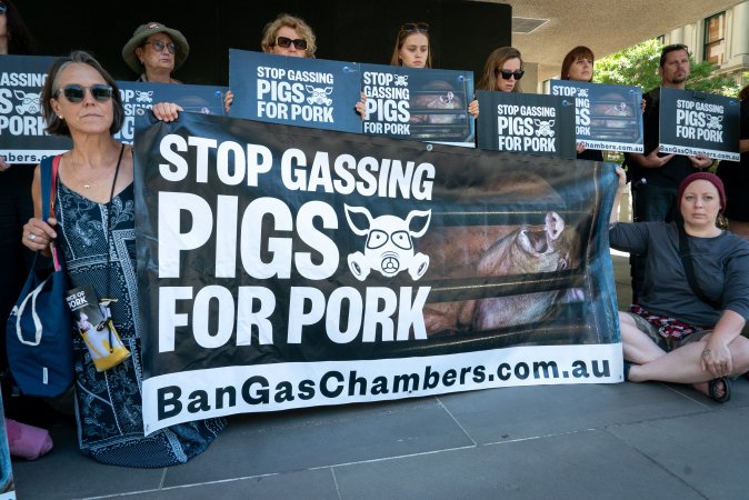 Animal rights activists attending the Rally For Pigs 2025