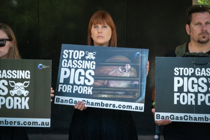 Animal rights activists attending the Rally For Pigs 2025