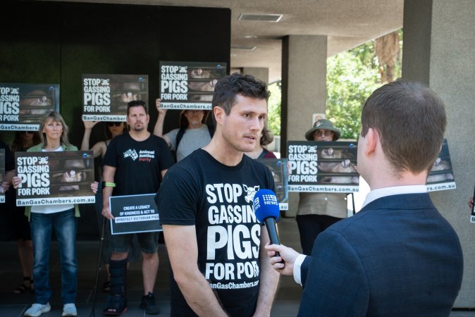Animal rights activists attending the Rally For Pigs 2025