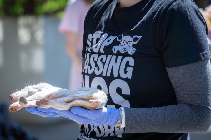Animal rights activists attending the Rally For Pigs 2025