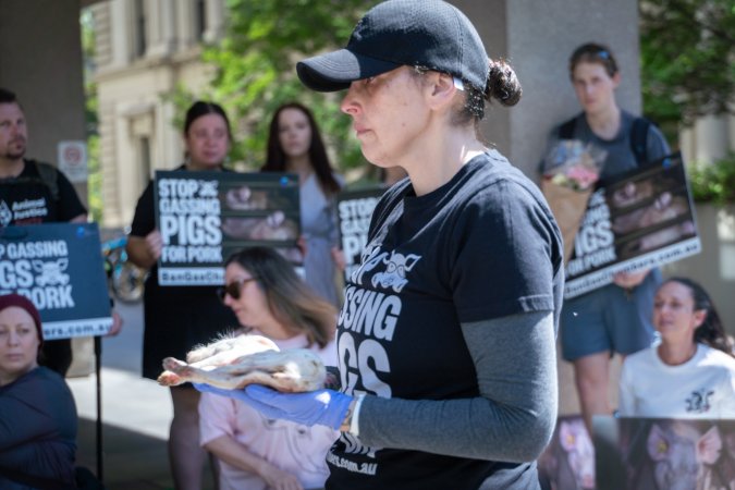Animal rights activists attending the Rally For Pigs 2025