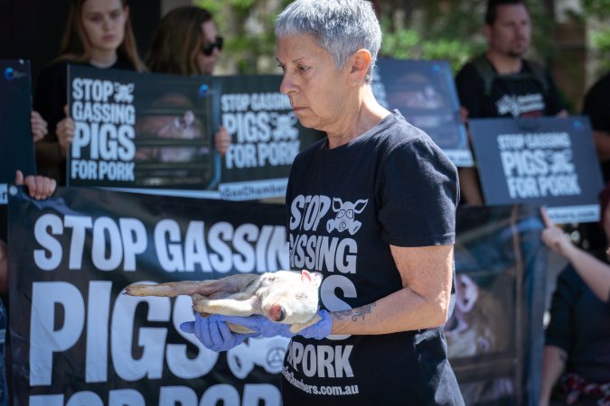 Animal rights activists attending the Rally For Pigs 2025