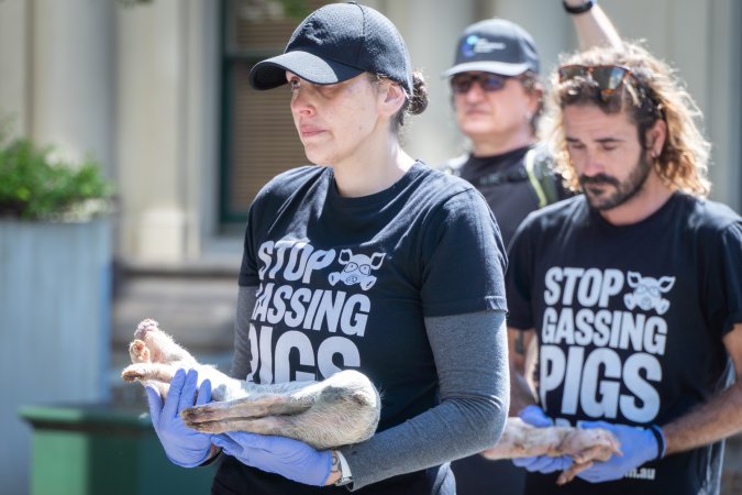 Animal rights activists attending the Rally For Pigs 2025
