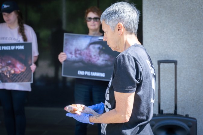 Animal rights activists attending the Rally For Pigs 2025