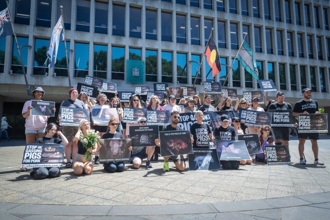 Animal rights activists attending the Rally For Pigs 2025