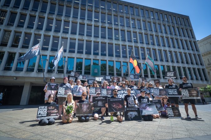 Animal rights activists attending the Rally For Pigs 2025