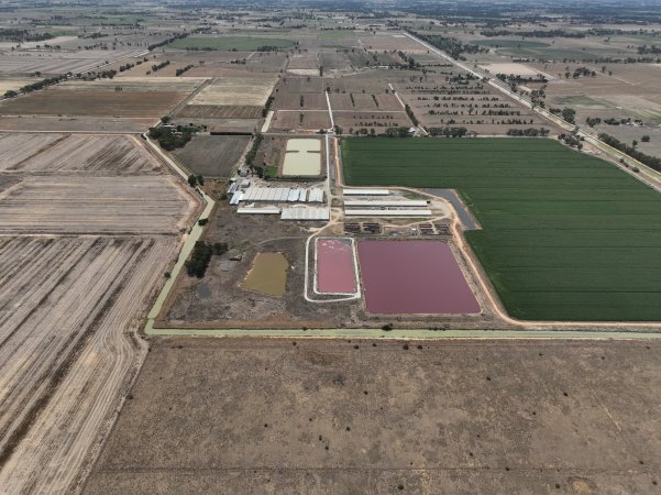 Drone flyover