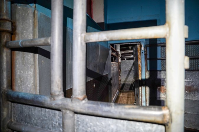Entrance into the cattle knockbox