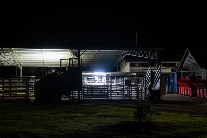 Exterior shot of Millmerran Meats' holding pens, taken on approach to the slaughterhouse.