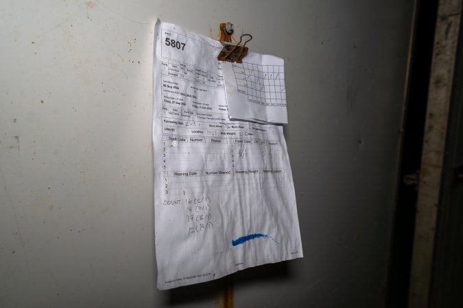 Farrowing paperwork