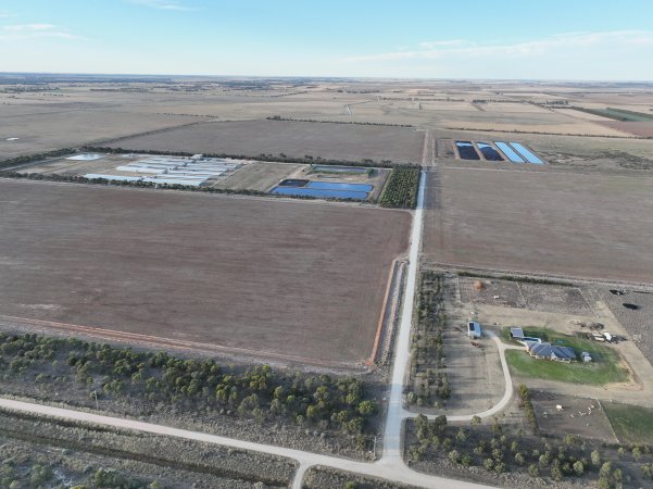 Drone flyover of piggery