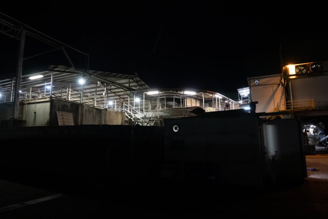 Covered holding pens and race at slaughterhouse