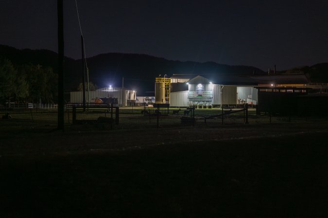 Outside slaughterhouse at night