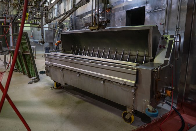 Scalding tank for pigs