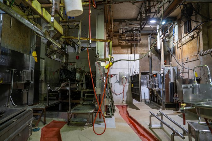 Kill room