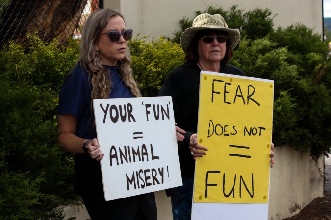 Protest outside of Queanbeyan Rodeo