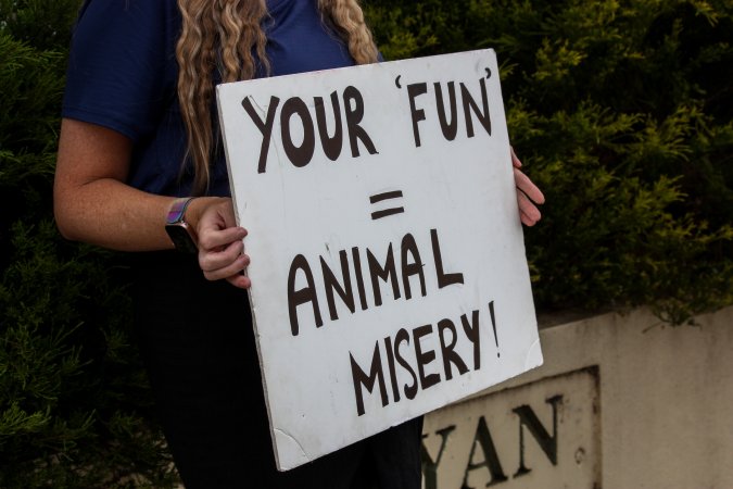 Protest outside of Queanbeyan Rodeo