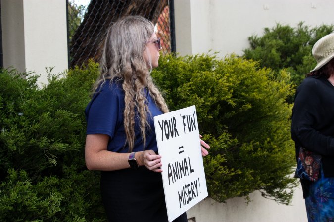 Protest outside of Queanbeyan Rodeo