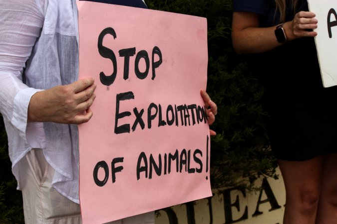 Protest outside of Queanbeyan Rodeo