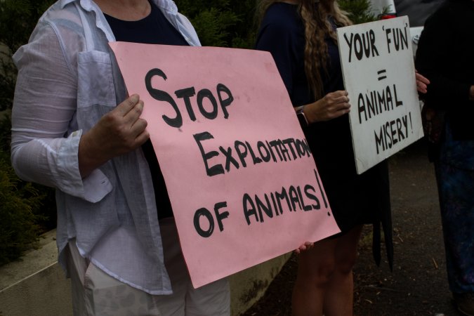 Protest outside of Queanbeyan Rodeo