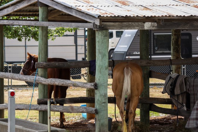 Horses inside Queanbeyan Rodeo