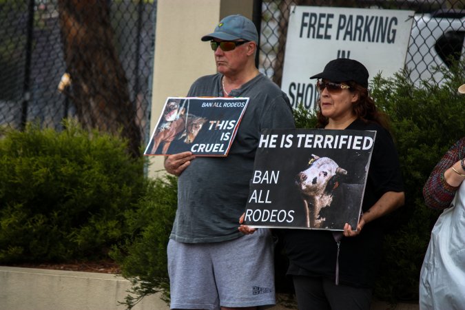 Protest outside of Queanbeyan Rodeo