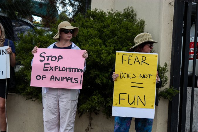 Protest outside of Queanbeyan Rodeo