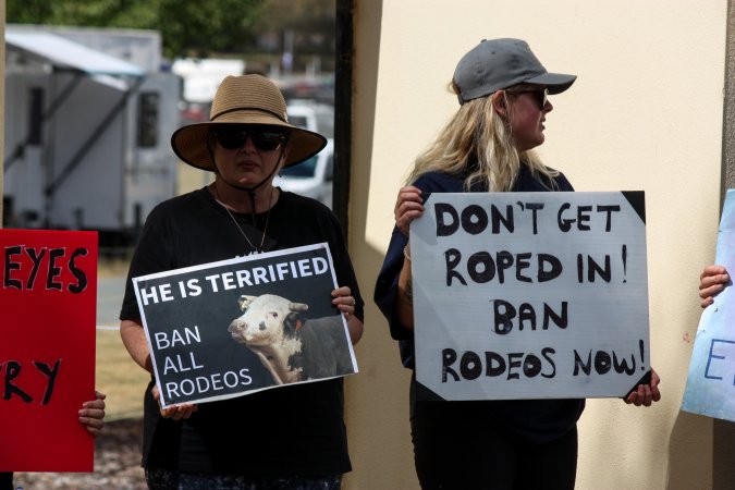 Protest outside of Queanbeyan Rodeo