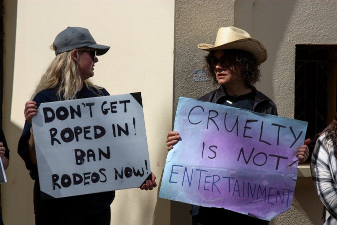 Protest outside of Queanbeyan Rodeo