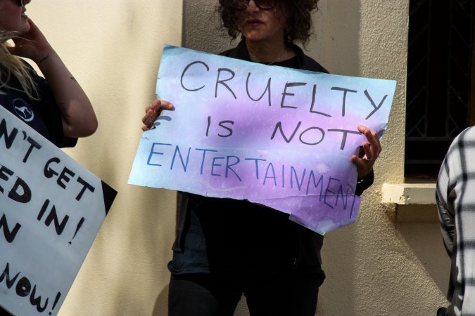 Protest outside of Queanbeyan Rodeo