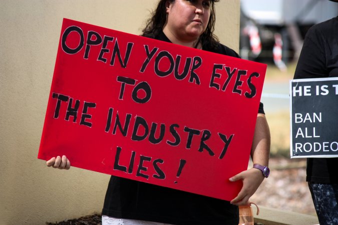 Protest outside of Queanbeyan Rodeo