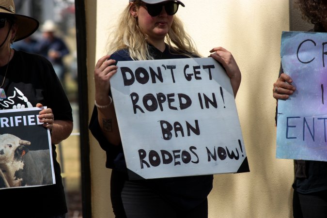 Protest outside of Queanbeyan Rodeo