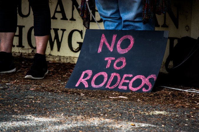 Protest outside of Queanbeyan Rodeo