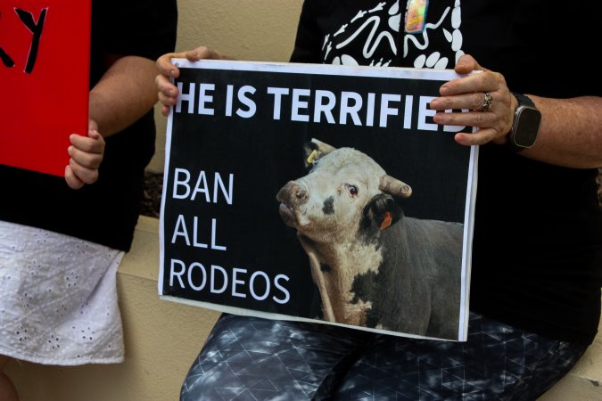 Protest outside of Queanbeyan Rodeo