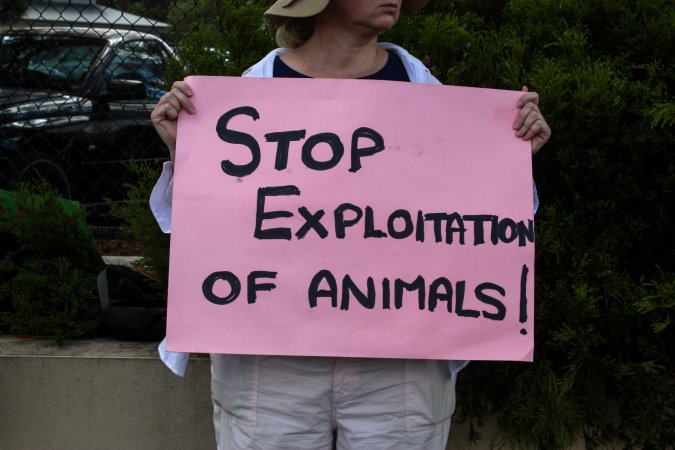 Protest outside of Queanbeyan Rodeo