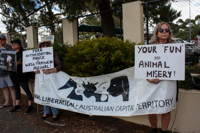 Protest outside of Queanbeyan Rodeo