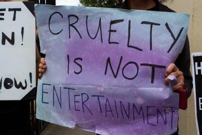 Protest outside of Queanbeyan Rodeo