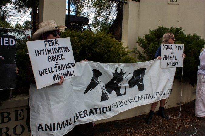 Protest outside of Queanbeyan Rodeo